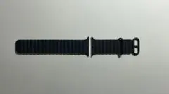 apple watch series 10 42mm バンド