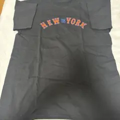 Item thumbnail for item 4f7db86a-f79e-4cd5-a9c6-0031b987eb9c