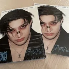 【開封済】straykids karma バンチャンaccordion ver.