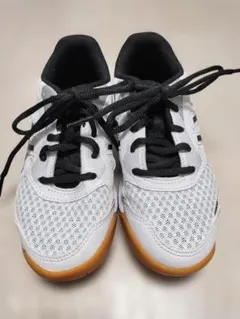 Item thumbnail for item e6eddb59-2d00-4457-9719-b9113d2a6d1f