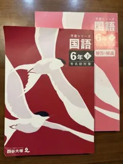 ぴさこ様 リクエスト 2点 まとめ商品