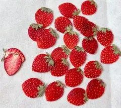 ttmo プロフ必読様 リクエスト 2点 まとめ商品