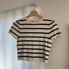 ZARA アイボリー　ネイビー ボーダー 半袖ニット