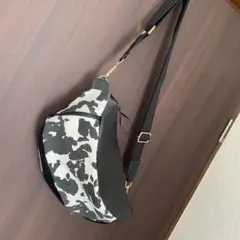 Item thumbnail for item 625d94d8-c0d3-4425-8d1b-eb1b37d14f8b