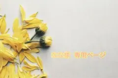 なな様専用ページ