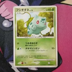 フシギダネ Lv.14 ポケモンカード　DP3 DPBP #001 ●