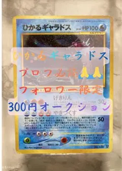 2026年最新】ギャラドス ひかるの人気アイテム - メルカリ