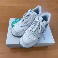 2026年最新】earth day air force ナイキの人気アイテム - メルカリ