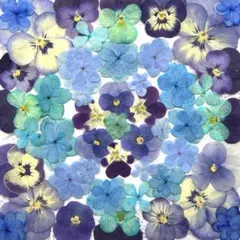 Pono様 リクエスト 2点 まとめ商品