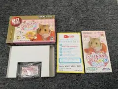 GBA ハムスターパラダイス　ピュアハート