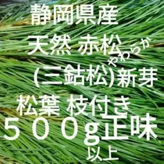 2025年最新】赤松の人気アイテム - メルカリ