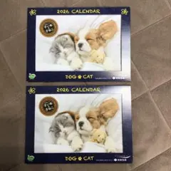 Item thumbnail for item c6cd0035-cf5b-4ff3-a929-d479b21411c1