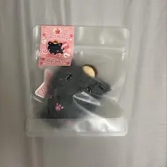 未開封 NCT WISH WISHDOLL リク kuri 公式品 - メルカリ