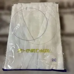 Item thumbnail for item 4c65f535-450b-4a7d-ad5a-e275feda697a