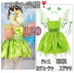 120【羽付き】4点セット✨ティンカーベル プリンセス コスプレ ハロウィンe