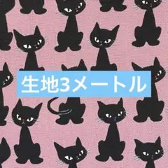 生地　3メートル　同封不可