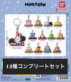 MINITEEN ぷっくりめじるしアクセサリー　コンプリートセット