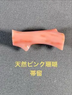 珊瑚/帯留/和装小物/本さんご/さんごoー042