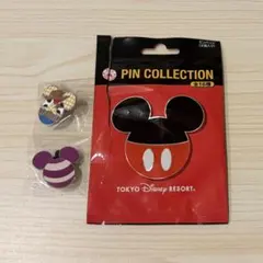 ディズニー ピンバッジ ミッキーマウスと仲間たち ウッディ チェシャ猫のサムネイル