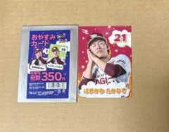 な*。様 楽天イーグルス おやすみカード 早川隆久のサムネイル