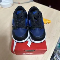 NIKE DUNK LOW ナイキ ダンク ロー キッズ スニーカー 12cm