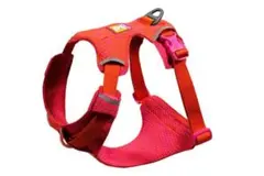 Item thumbnail for item 4886c93e-77c1-4ed9-a009-8e221f2070b9