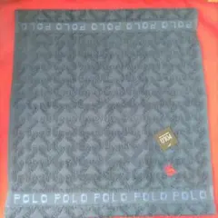 新品未使用　POLO BCS タオルハンカチ ネイビー 英国調 馬刺繍　スポーツ