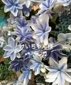 けいちゃん様専用ページ•*¨*•.¸♬︎