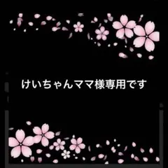 けいちゃんママ☆5/3~5/6発送不可様 リクエスト 3点 まとめ商品