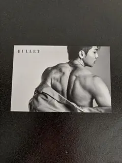 武知海青　BULLET ポストカード