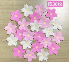 桜の花30枚　さくら　春の壁面飾り　入園式　新学期