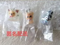 StrayKids SKZOO ★めじるしアクセサリー 3点セット