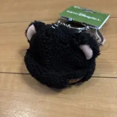 タグ付ファンタジースプリングス ロストキッズ スカンク キーチェーン ディズニー
