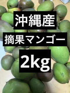 2026年最新】青マンゴーの人気アイテム - メルカリ