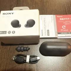 未使用新品 ソニー SONY ワイヤレスイヤホンWF -C500 ブラック
