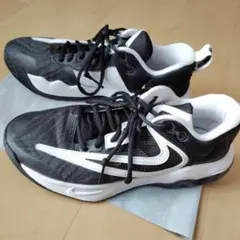 Item thumbnail for item 7a664422-7e15-437a-9c91-aef63843029b