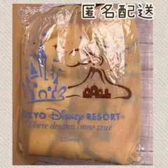 【未使用】東京ディズニーリゾート ブランケット