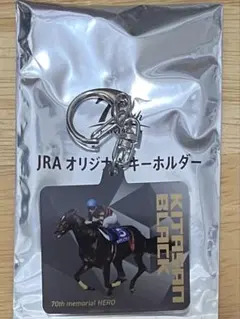 ウェルカムチャンス 特別版 A賞　イクイノックス 特別ゼッケン ウェルカムチャンス 特別版 A賞 イクイノックス 特別ゼッケン D