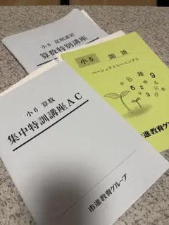 2026年最新】市進 小6の人気アイテム - メルカリ