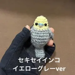 はは様専用　◇セキセイインコ