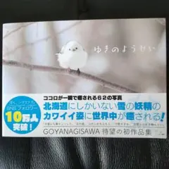 ★値下げ★ゆめのようせい 写真集 シマエナガ