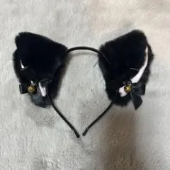 Item thumbnail for item 12352d06-e0d7-440a-bdc0-46afd1d50fe6