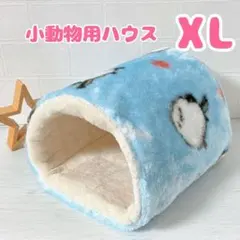 Item thumbnail for item 818cc2d2-3b3e-4d42-a426-b58e220b9d7e