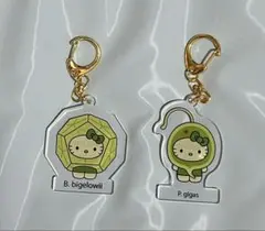 2025EXPO 日本館　藻キティ　2個セット　値下げ⭐︎