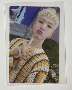 SEVENTEEN SECTOR17 ホシ トレカ