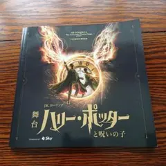 ハリーポッターと呪いの子 舞台 パンフレット