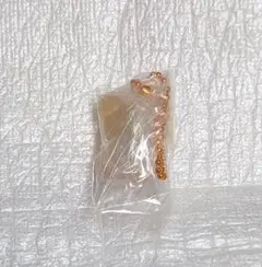 StrayKids スキズ SKZOO グミ&チャーム パピーム スンミン ①