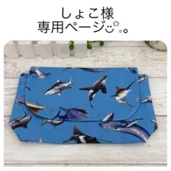 しょこ様専用ページ✩.*˚