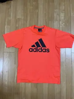 Item thumbnail for item 78f24282-1280-4fb6-9d48-1c79dc1f879b