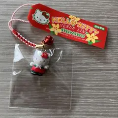 2026年最新】ご当地キティ信州の人気アイテム - メルカリ